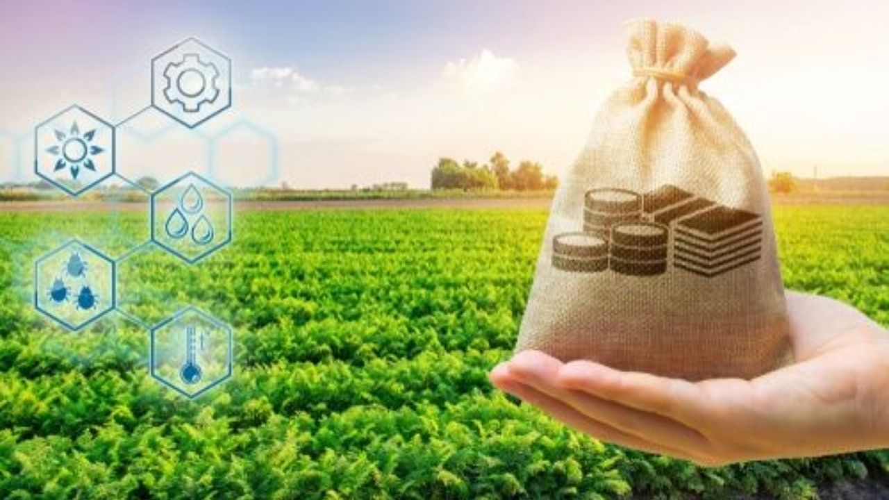 Usthadian Academy / Centre’s Proposal For Farmers Amidst Protest: 5-Year MSP Plan For Pulses, Maize, And Cotton | 20 feb 2024 Usthadian Academy / Centre’s Proposal For Farmers Amidst Protest: 5-Year MSP Plan For Pulses, Maize, And Cotton